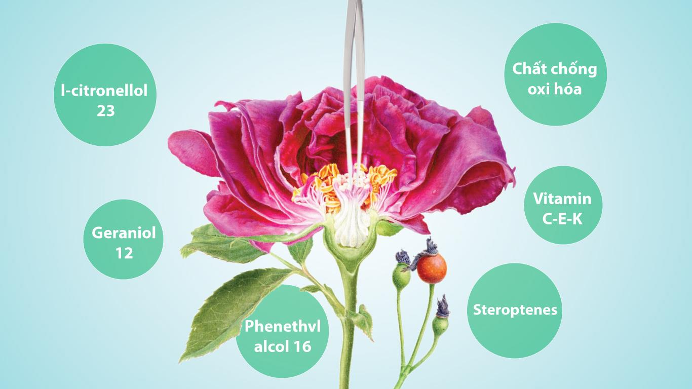 Trắng Da Trẻ Hoá Rose White