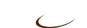 Thiết kế website spa